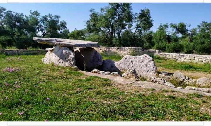 Amaste In Puglia Casa Vacanza Bisceglie Exteriér fotografie
